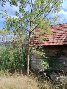 888 mp teren cu priveliste si cladiri in Mihaileni - foto 4