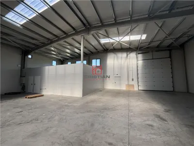 Inchiriere depozit/hala/spatiu industrial Chiajna - Chitila - Rudeni - foto 3