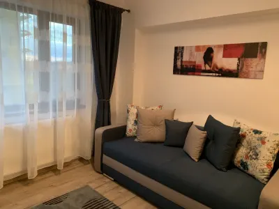 Apartament 2 Camere Decomandat cu Parcare Inclusă- Complex Bucium Confort Residence - foto 4