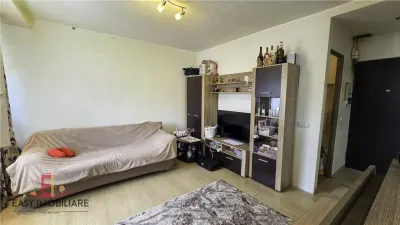 Apartament 1 camera, open space, modificat, cu preluare de chirias Tudor - foto 2