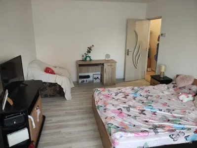 Apartament 1 cameră decomandat | Nicolina – Kaufland | Etaj 1/4 | Centrală proprie - foto 4