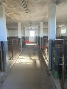 Casa cu 35 ari teren, Floresti-Nimigea - foto 7