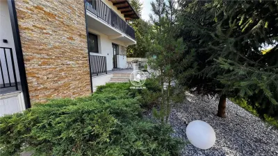 Vila Mediteraniana Rediu - foto 11