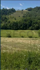 RECO, teren intravilan, loc superb de cabana, Calatea-Bihor - foto 3