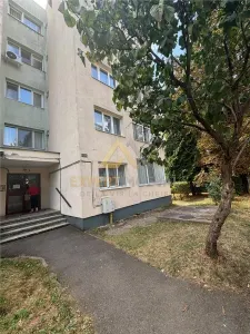apartament cu 4 camere de inchiriat str Ferenczi Carol  300 Euro - foto 19