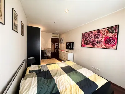 Apartament de inchiriat 3 camere Herastrau - foto 19