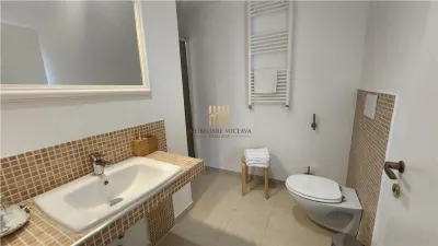 Casă de vacanță în Bucovina | Șaru Dornei | 10 camere cu băi proprii | Salon 130 mp | 650.000 Euro | Comision 0 - foto 15