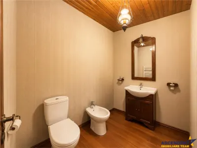 Casa solida,farmec autentic,echipata, garaj incalzit,pod,curte relaxanta,Santana de Mures - foto 13