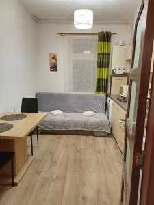 Studio decomandat , Centrul Istoric -Pet friendly - foto 6