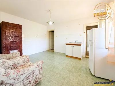 Casa traditionala transilvaneana in zona pitoresca - foto 17