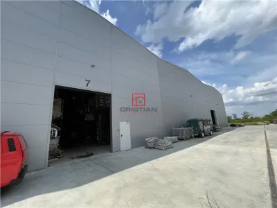 Inchiriere depozit/hala/spatiu industrial Magurele - Centura, Ilfov - foto 9