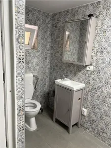 Casa si spatiu comercial zona Vasile Lascar - foto 11