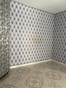 Casa si spatiu comercial zona Vasile Lascar - foto 15