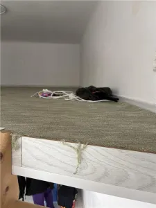 Casa si spatiu comercial zona Vasile Lascar - foto 3