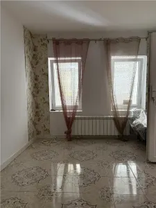 Casa si spatiu comercial zona Vasile Lascar - foto 24