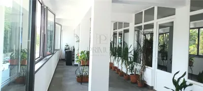 Spatiu Birouri 2 camere - Circumvalatiunii - Timisoara