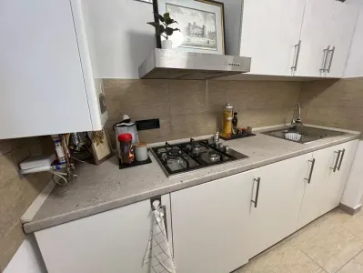 Apartament 1 cameră de închiriat – Piața Unirii | 42 mp | - foto 4