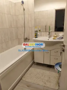 Garsoniera de inchirat , centrala proprie - Theodor Pallady - foto 6