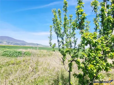 Sectiunea Premium! Teren 47.577 mp, Codlea . Ghimbav, pozitie excelenta la DN 11 - foto 15