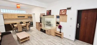 Studio Modern 35mp | etaj 1 | Turnisor - foto 3