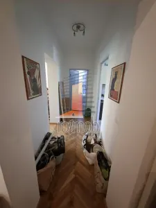 Gradina Icoanei, apartament 3 camere, etajul 1/3 - foto 3