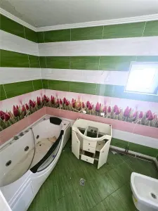 Duplex cu teren generos | Zona Titulescu | Miron Costin - foto 22
