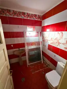 Duplex cu teren generos | Zona Titulescu | Miron Costin - foto 23