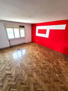 Duplex cu teren generos | Zona Titulescu | Miron Costin - foto 9