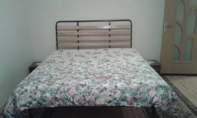 Apartament 2 camere decomandat – Dacia, 50 mp, etaj 2, centrală proprie - foto 1