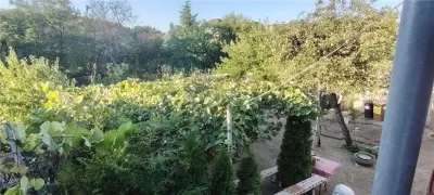 RECO Casa cu 3 Camere la 5 minute de Crisul - foto 25