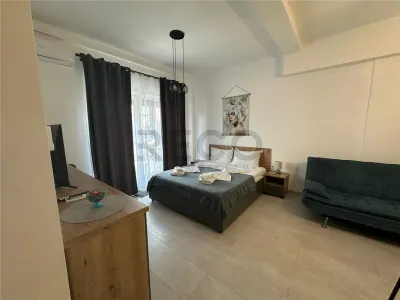 RECO Apartament 1 camera, zona Baile Felix, balcon generos, mobilat - foto 2