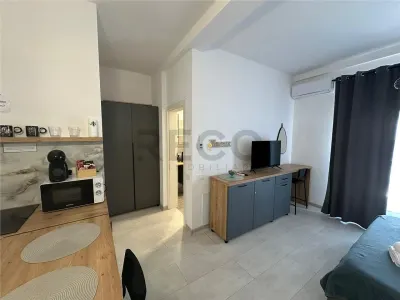 RECO Apartament 1 camera, zona Baile Felix, balcon generos, mobilat - foto 5