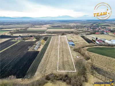 Film! Teren de 5.800 mp, Dobolii de Jos, Covasna - foto 9